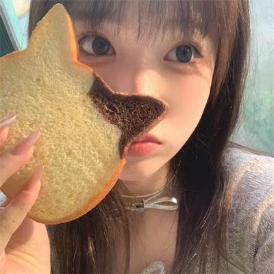 国土安全第三季